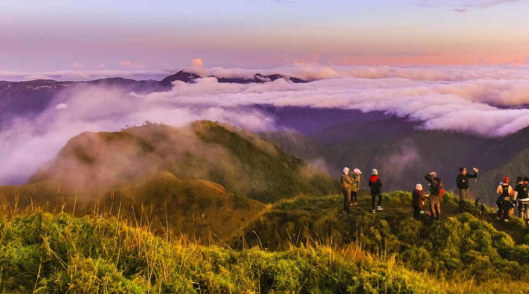 Mt Pulag Hike: What to Bring, Do, See, and Expect (Travel Guide)