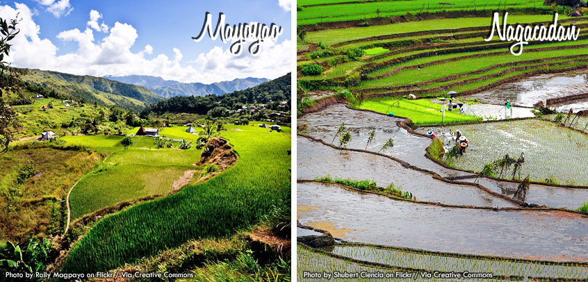 Mayoyao Nagacadan Rice Terraces