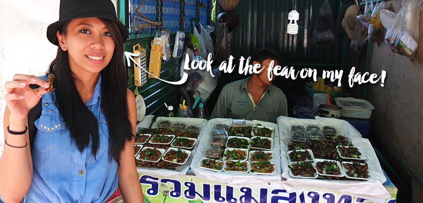 Eating Insects in Chiang Mai