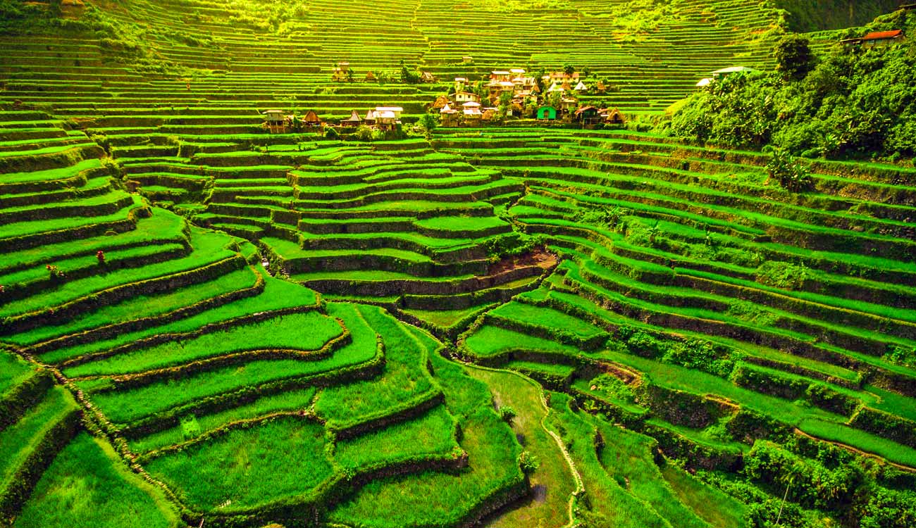 Batad Rice Terraces