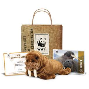 Gift Ideas for Travelers: Species Adoption
