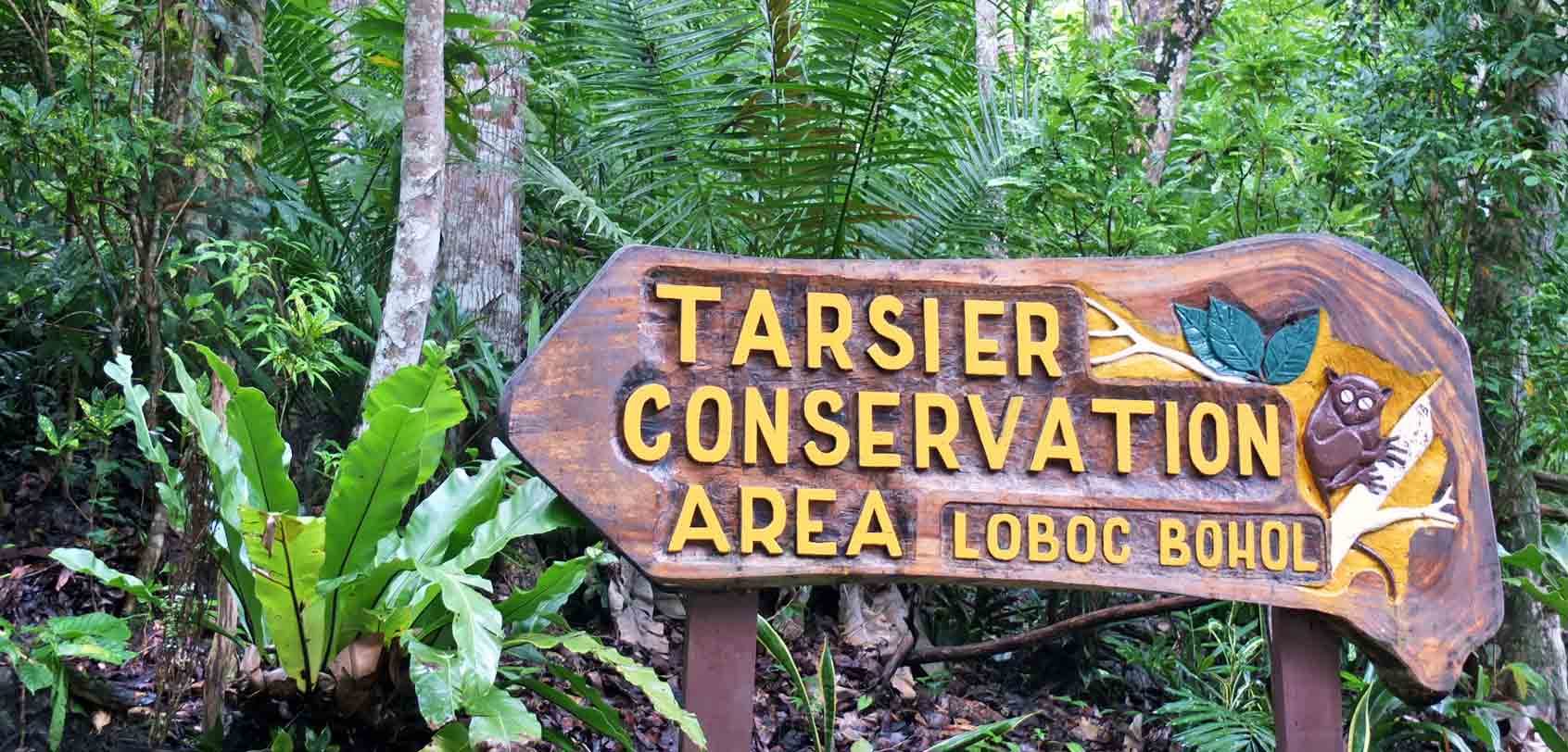 Loboc Tarsier Conservation Area