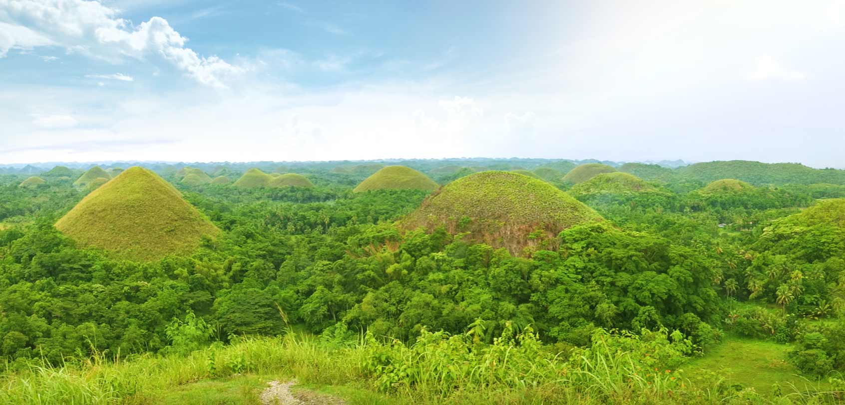 Chocolate Hills