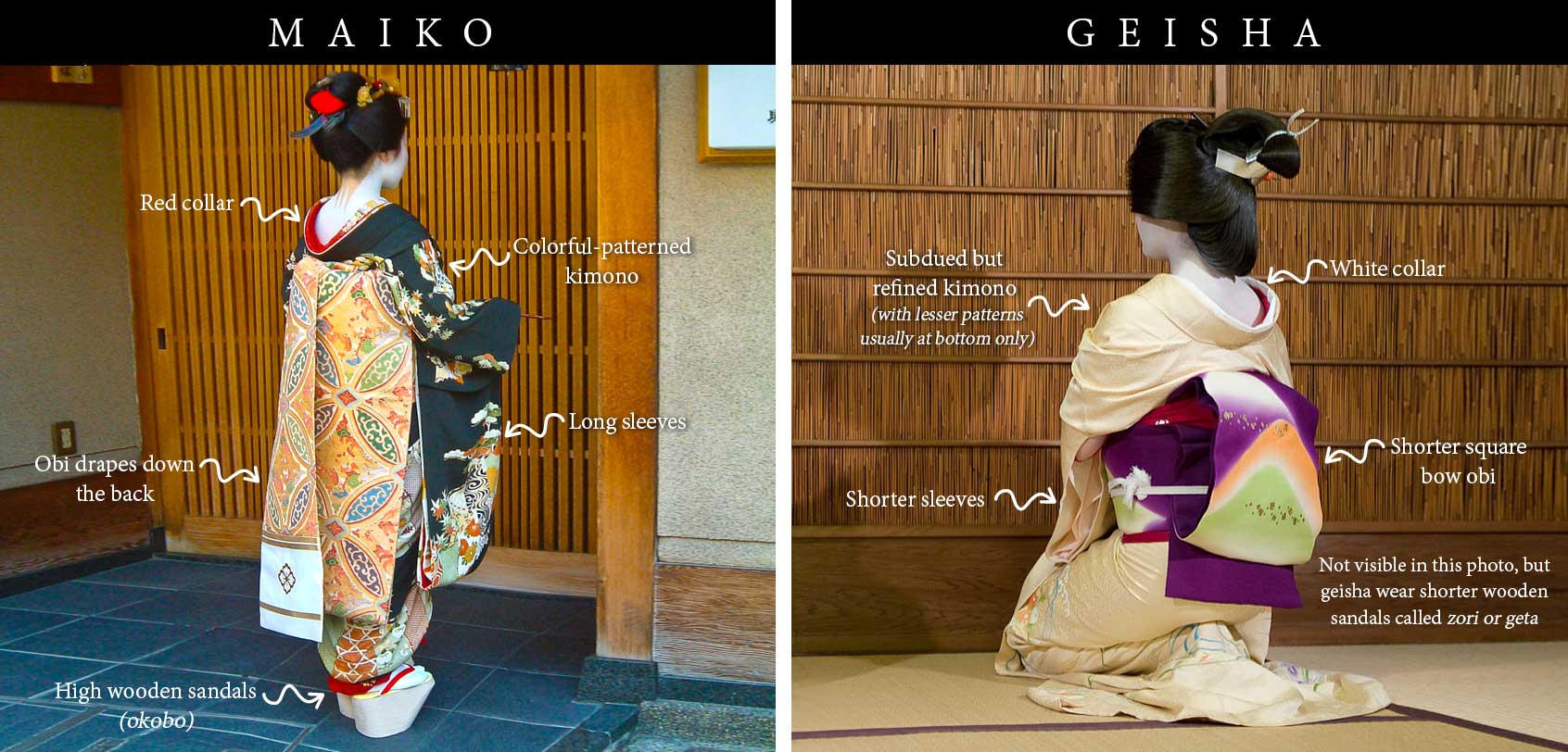 Understanding the Geisha of Japan Myths & Facts I am Aileen