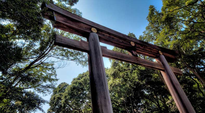 Things to do in Tokyo Meiji Shrine