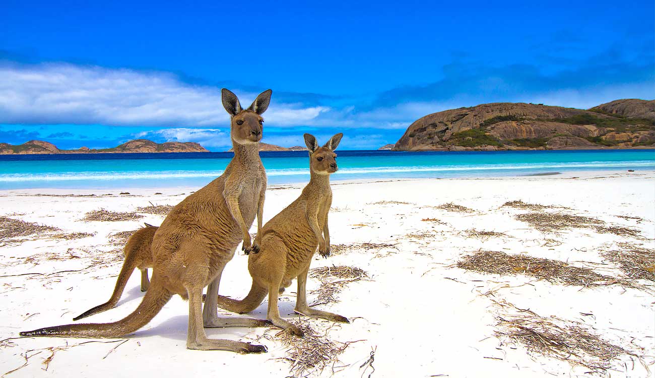 Kangaroo Beach