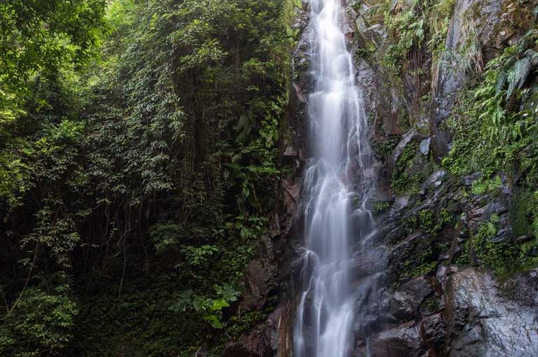 Tai Mo Shan Waterfalls Hike