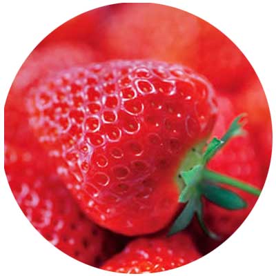 Niigata Food: Echigome Strawberries