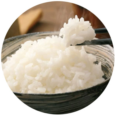 Koshihikari Rice : Niigata Food