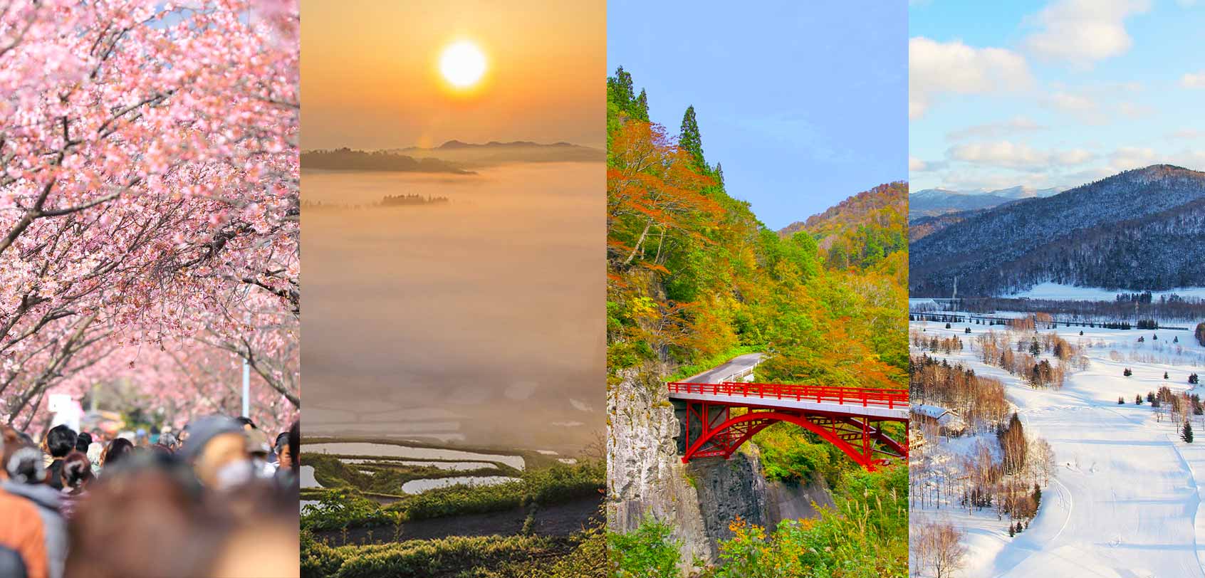 Chubu Itinerary: Explore Central Japan's Best (5 Days, More or Less)