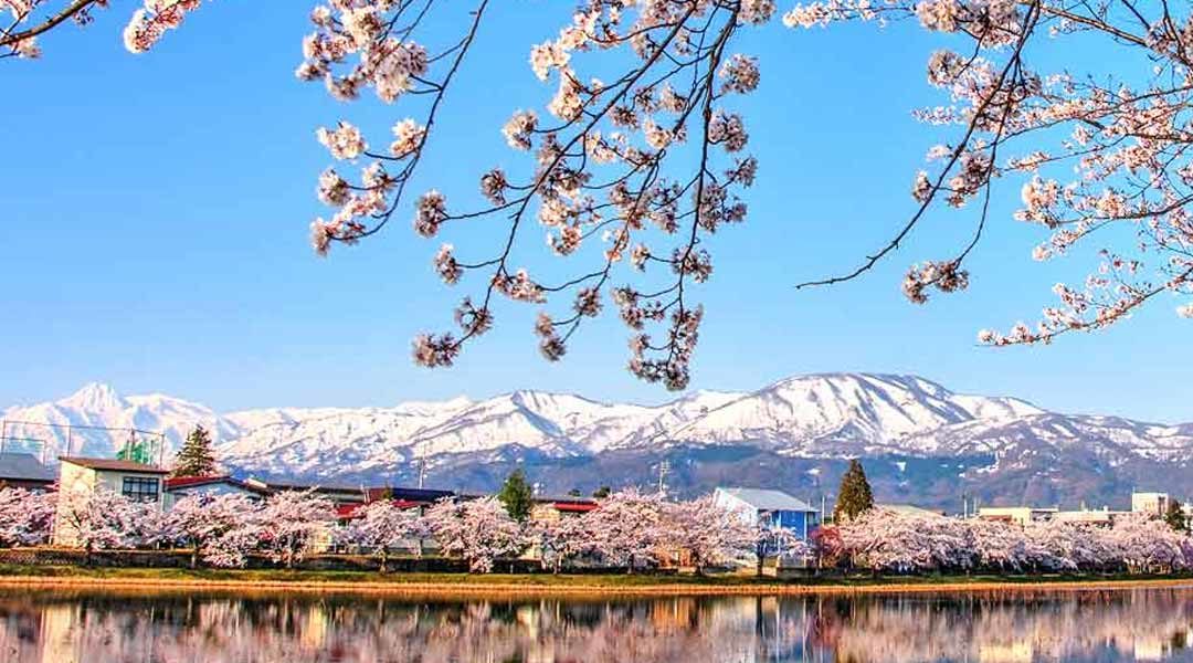 10 Reasons Why You Should Visit Niigata Prefecture (Japan)