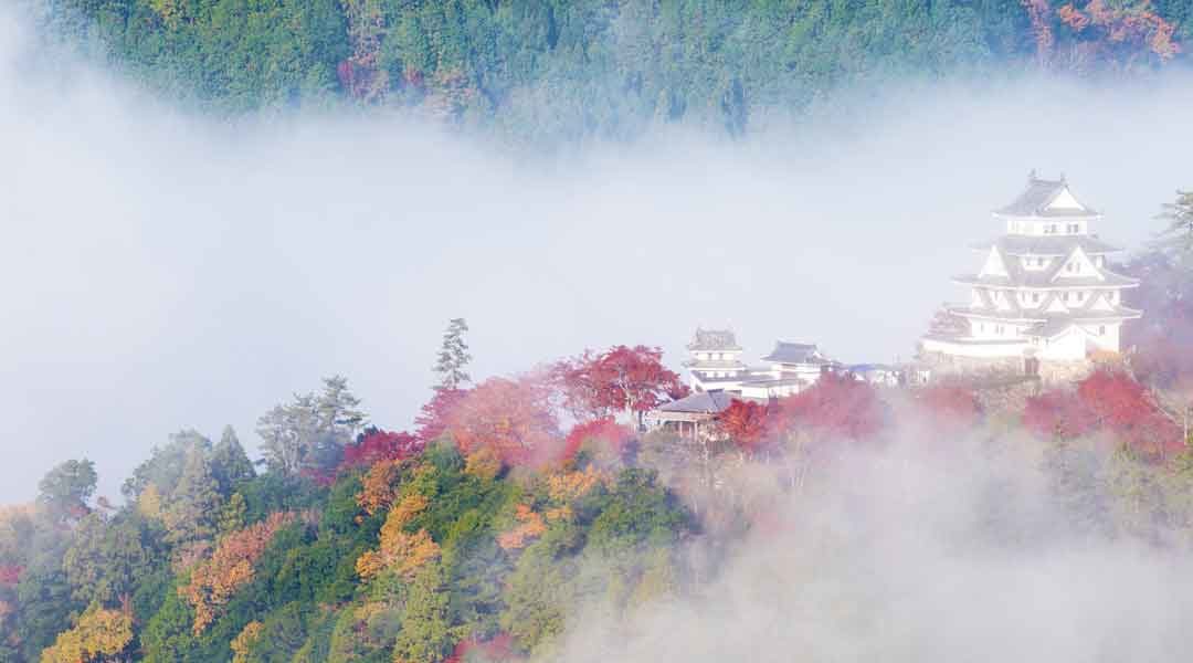 10 Things to Do in Gujo Hachiman City (Gifu Prefecture, Japan)