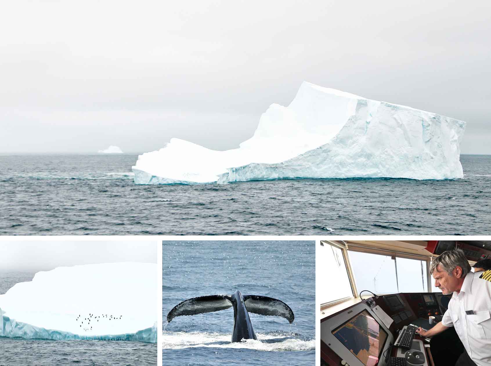 Antarctica Itinerary: Iceberg