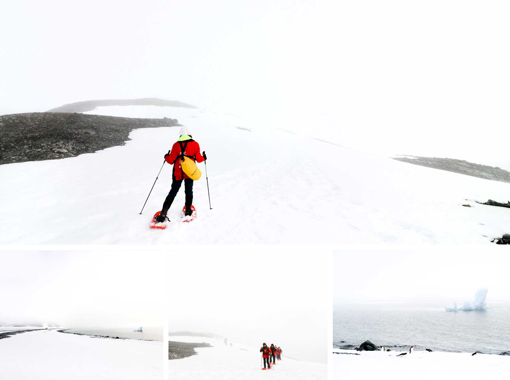 Antarctica Itinerary: Snowshoe