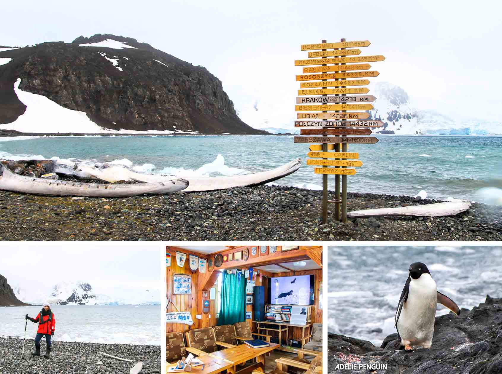 Antarctica Itinerary: South Shetland Islands