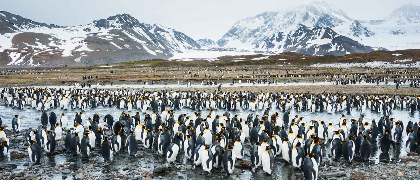 South Georgia Island