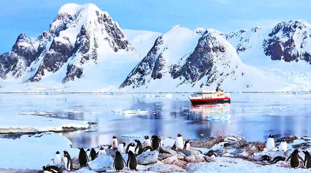 Top 10 Reasons Why You Should Travel to Antarctica with Hurtigruten