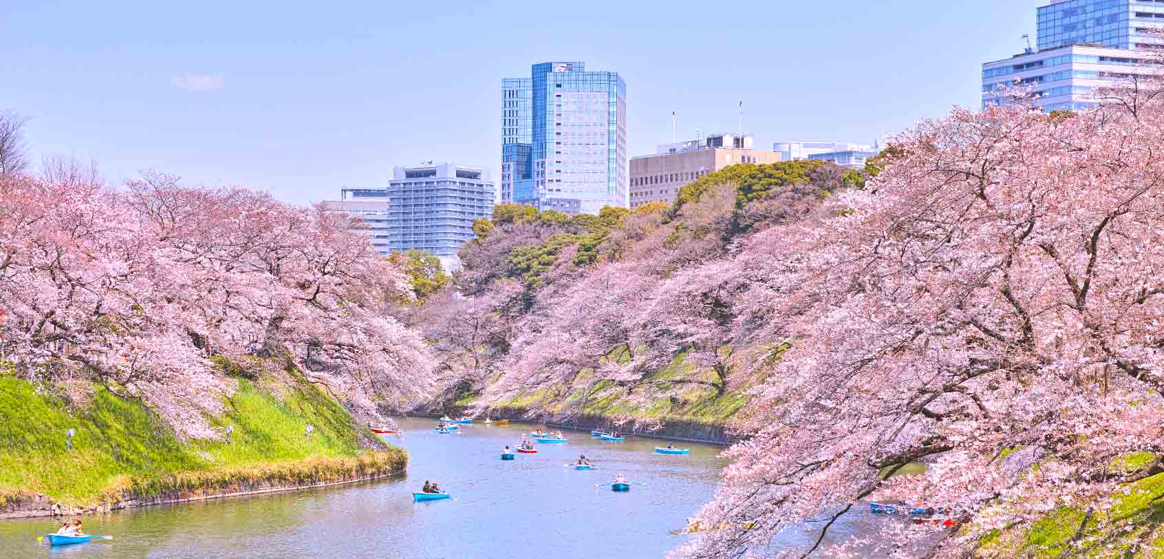 Chidorigafuchi