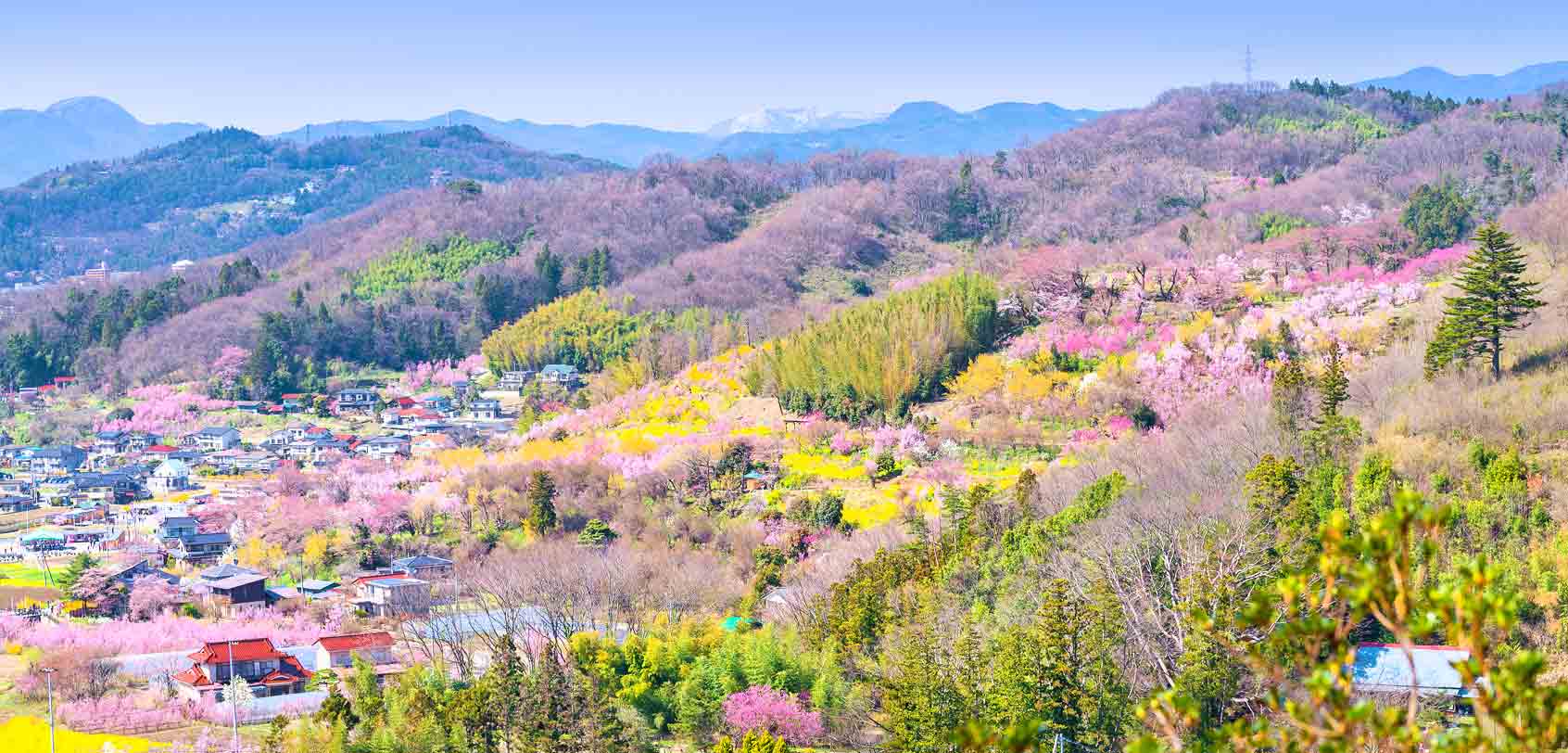 Hanamiyama Park