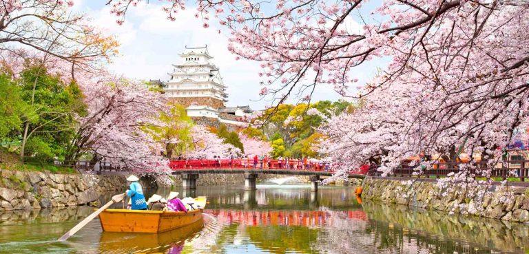 Spring Flowers in Japan: When & Where to Go (Top Tips)