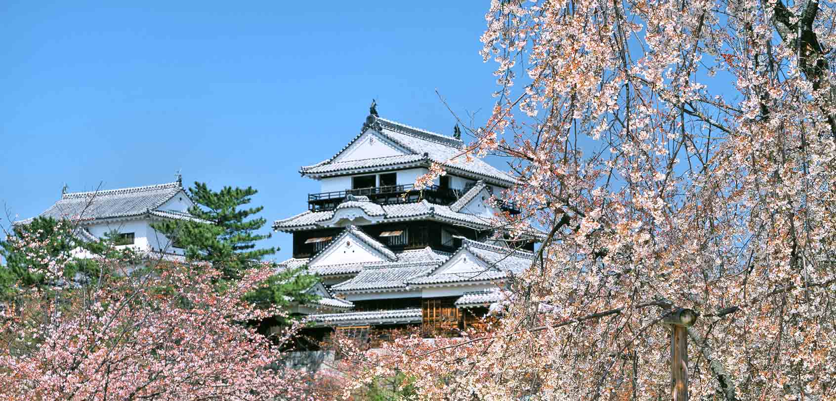 Matsuyama Castle