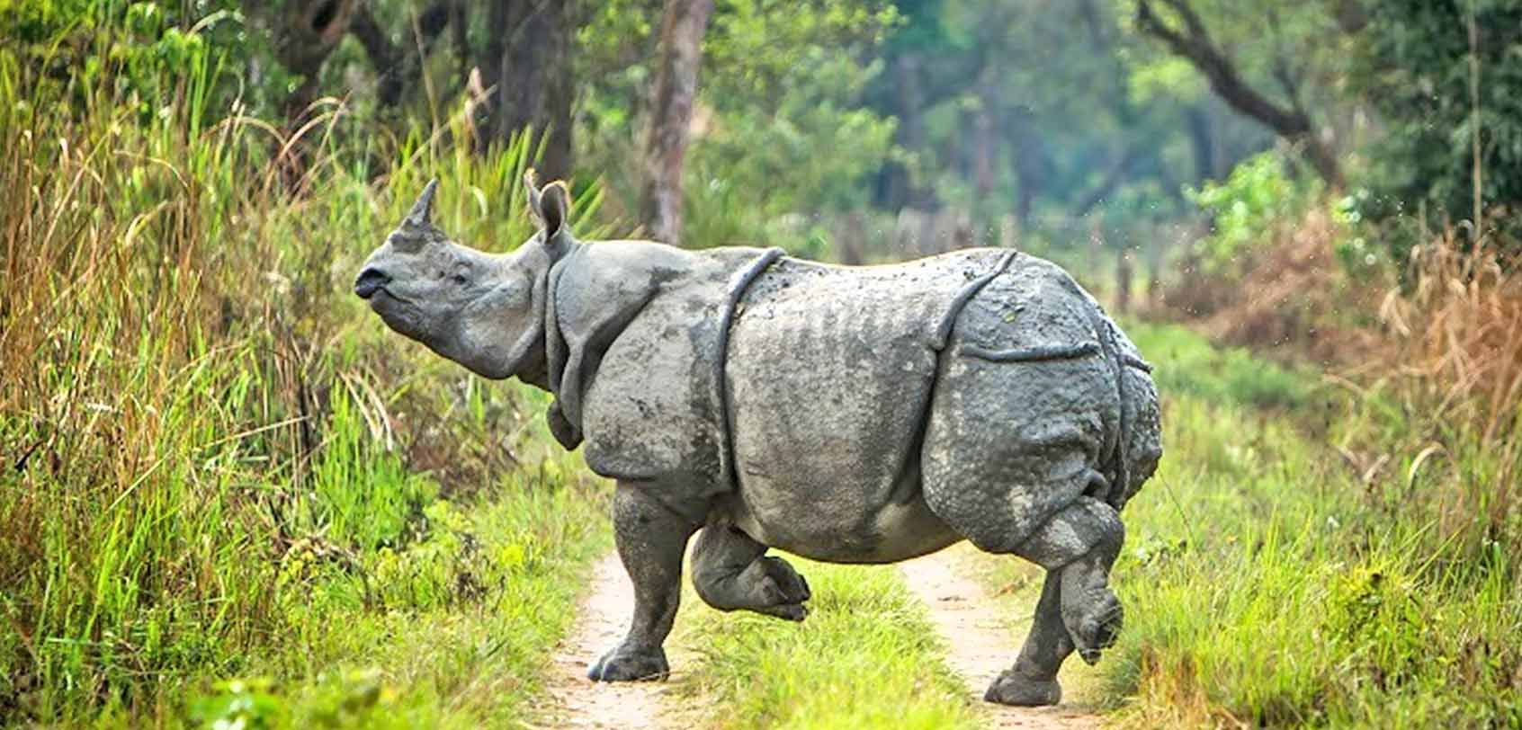 Chitwan National Park