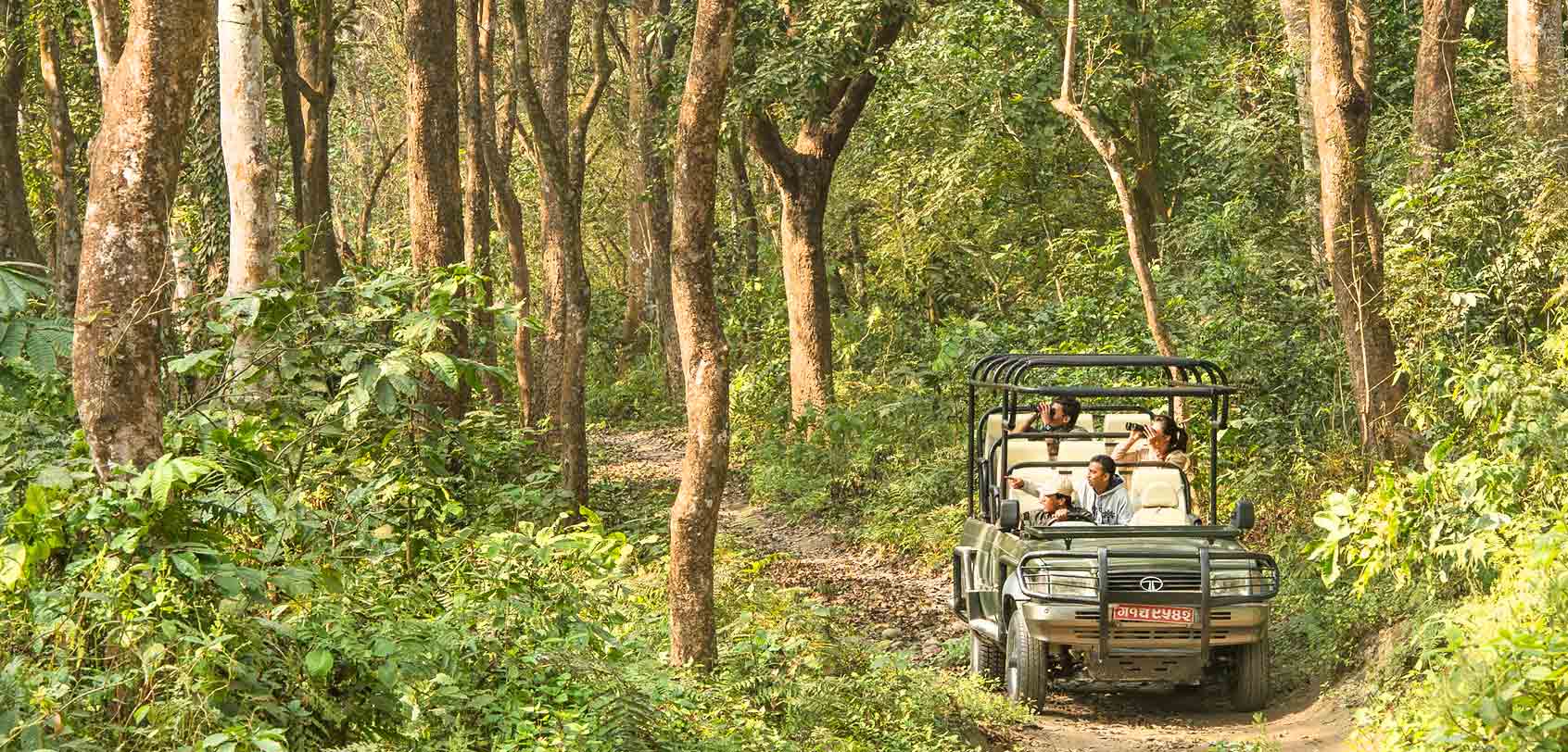 Jeep Safari