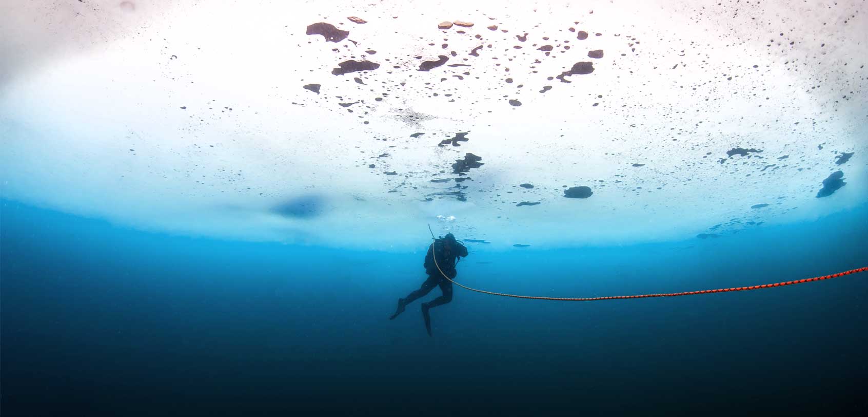 Antarctica Scuba Diving