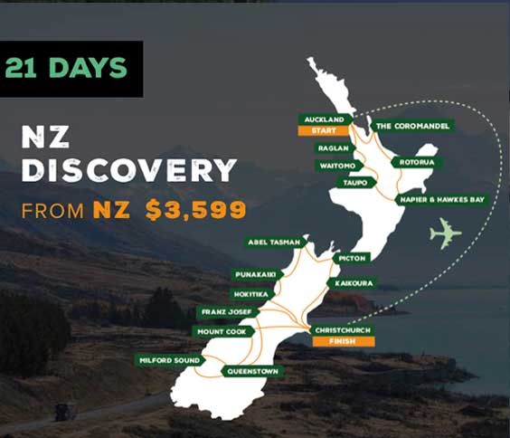 NZ Discovery