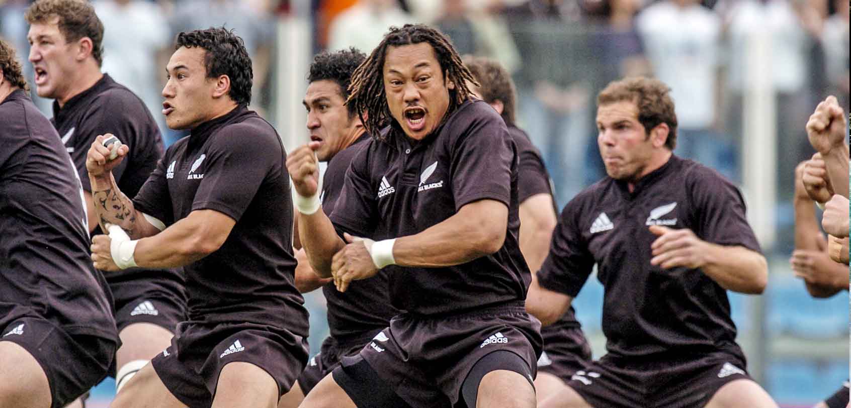 Things to Do in North Island : All Blacks