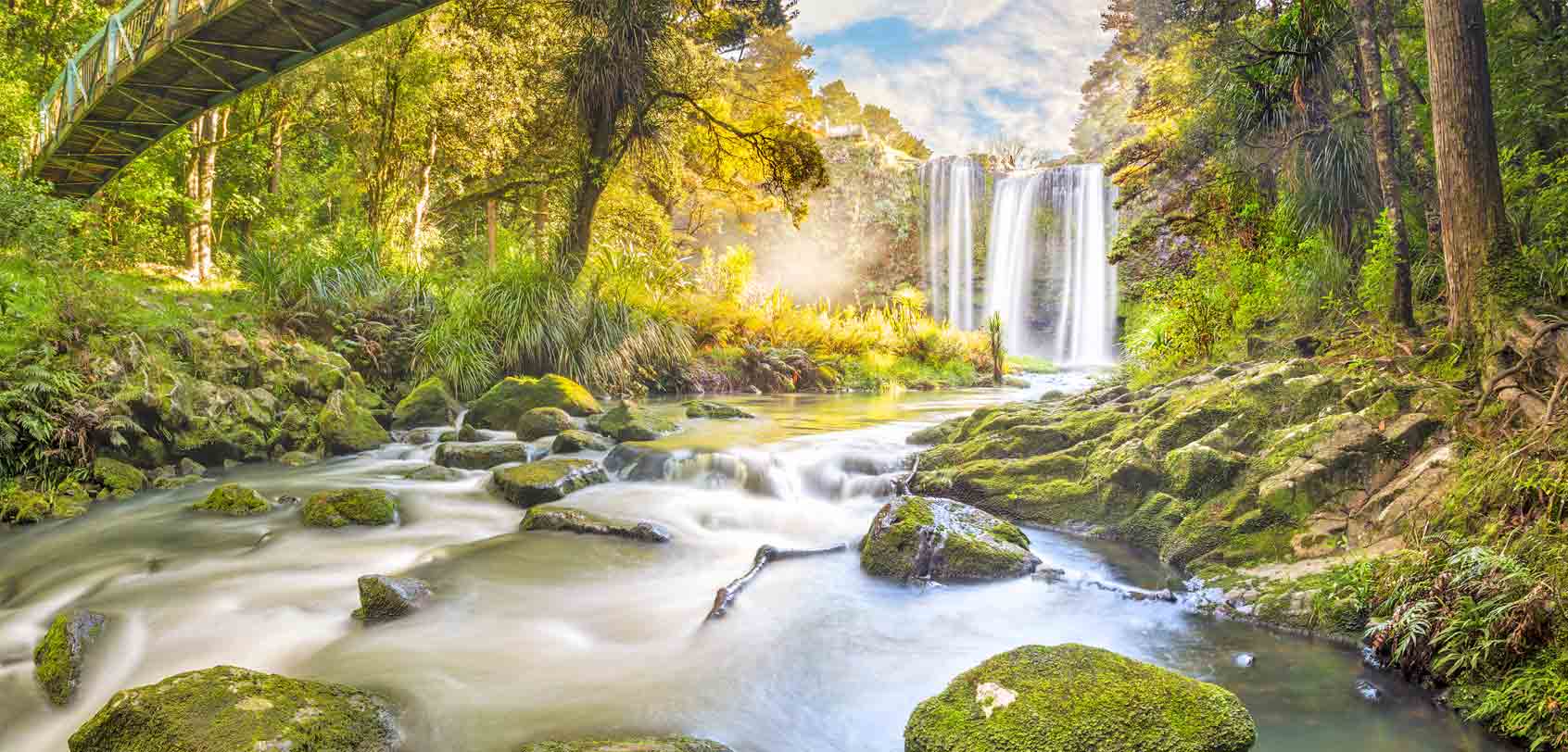 Whangarei Falls