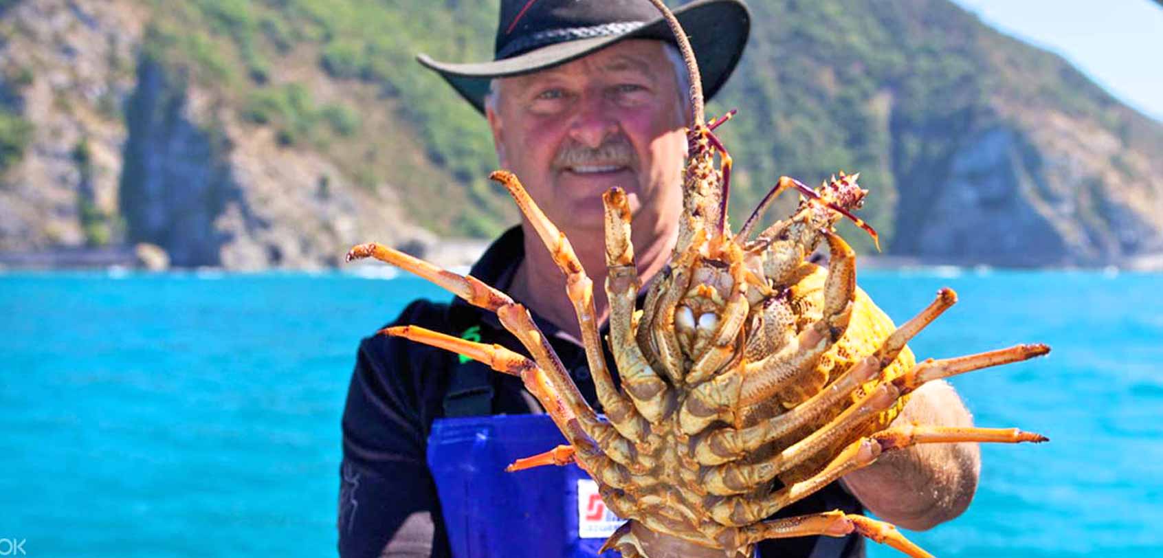 Kaikoura Fishing