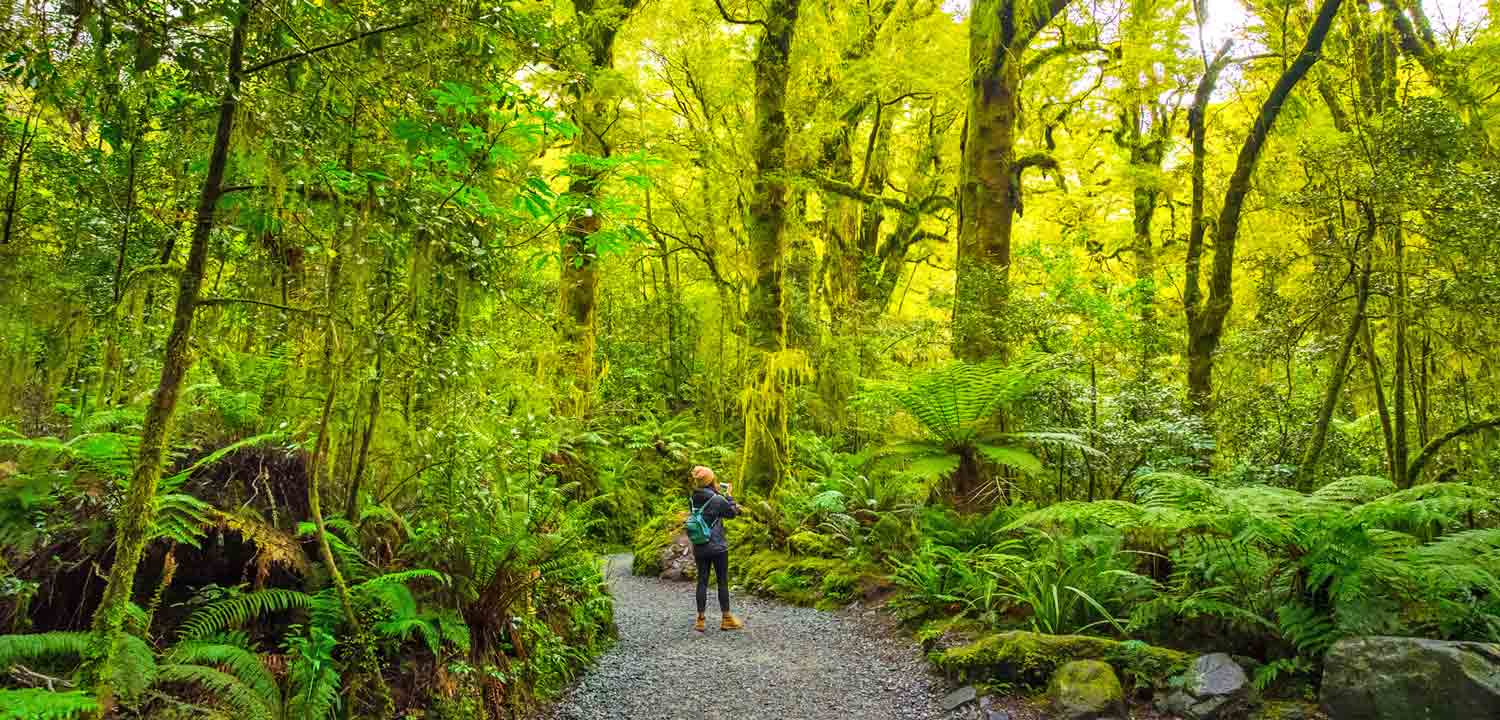 Milford Track