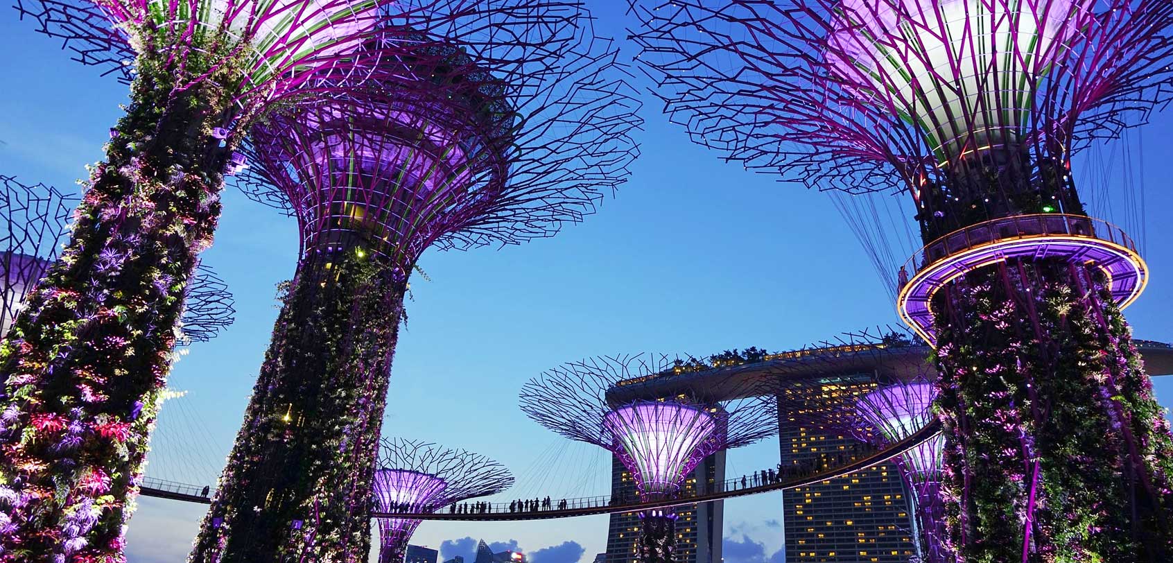 Gardens by the Bay