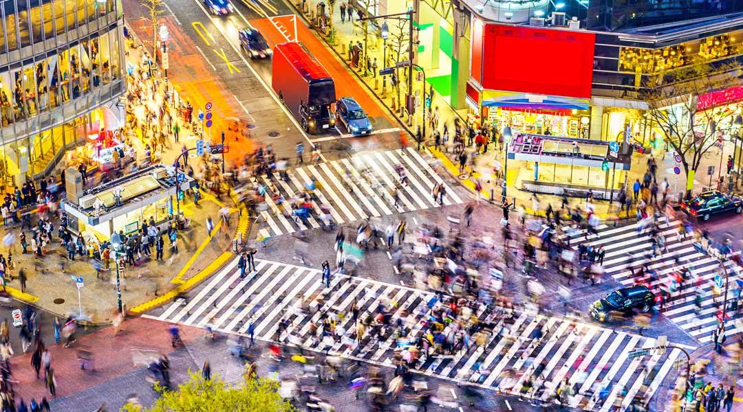 Top Things to Do in Tokyo, Japan (Per District): The Ultimate Travel Guide