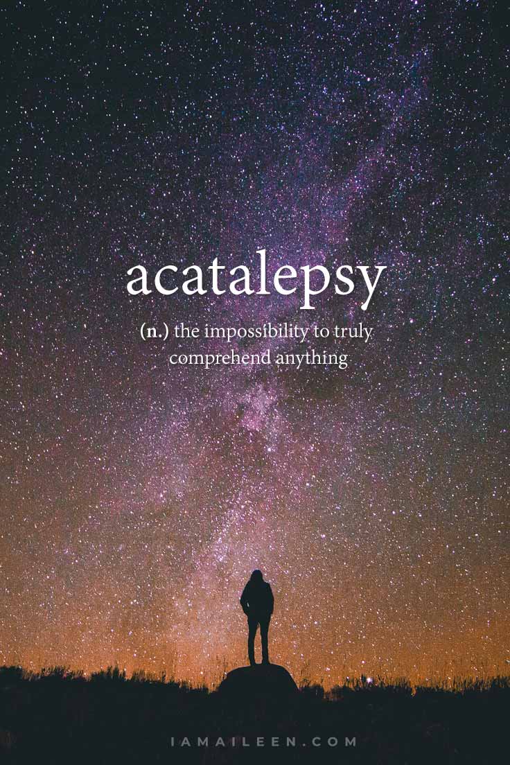 Unusual Travel Words:  Acatalepsy