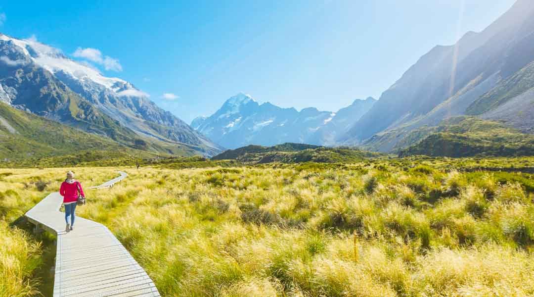 Top 20 Best Things to Do in South Island of New Zealand