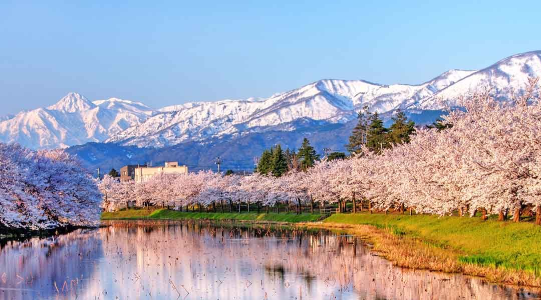 Niigata Itinerary: 4 Days or More in The Land of Sake, Rice, Gold, and Adventure! (Japan)