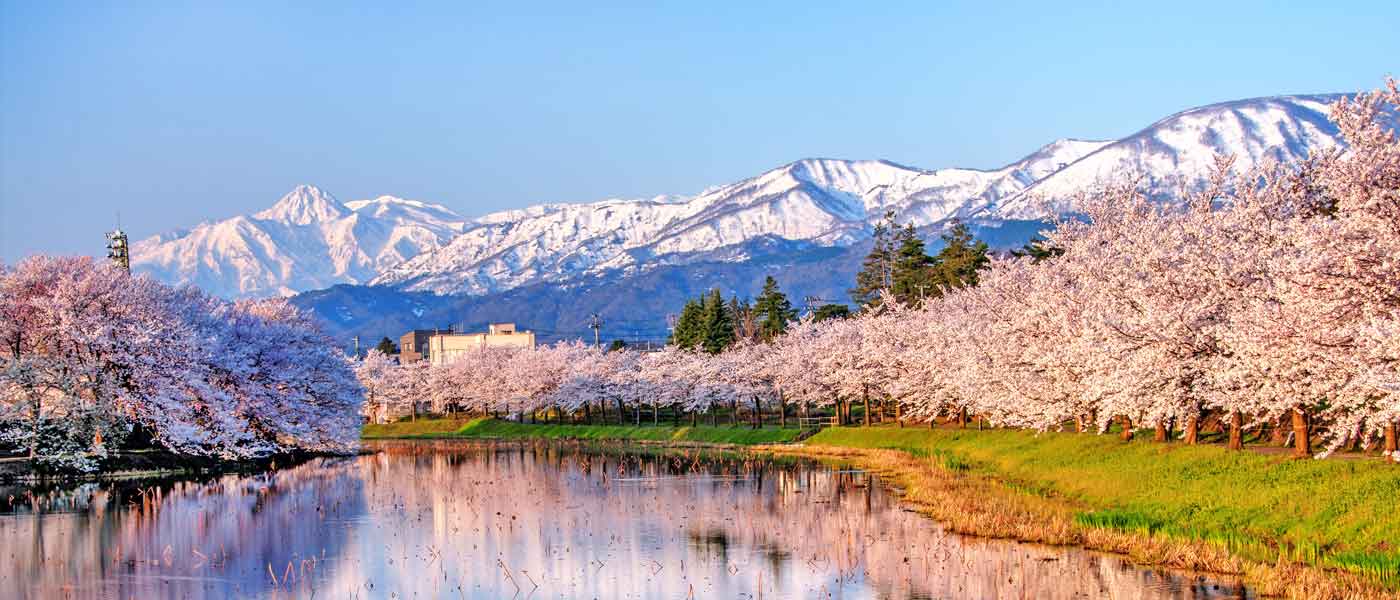 Niigata Itinerary: 4 Days or More in The Land of Sake, Rice, Gold, and Adventure! (Japan)