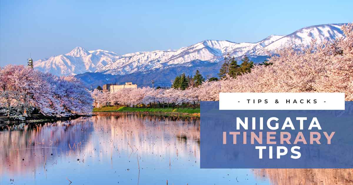 Niigata Itinerary: 4 Days or More in The Land of Sake, Rice, Gold, and Adventure! (Japan)