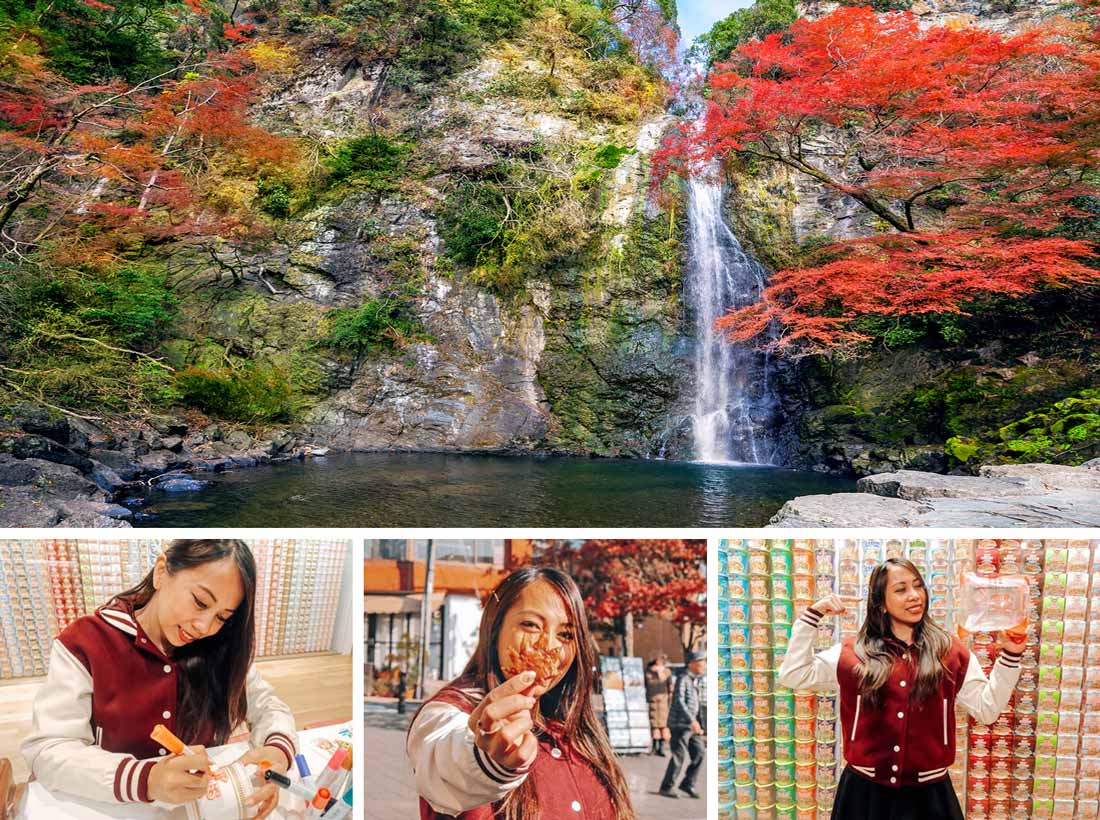 Minoo Falls : Day Trips from Osaka