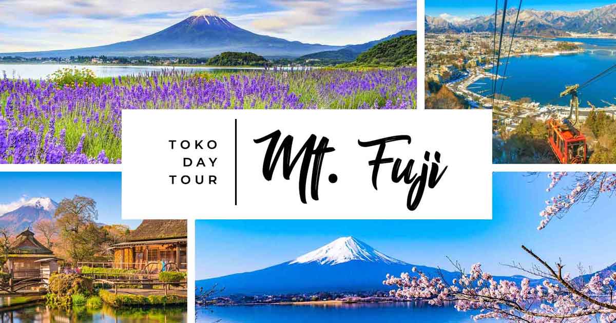 Mt. Fuji Tour from Tokyo, Japan (Travel Guide & Itinerary Ideas)