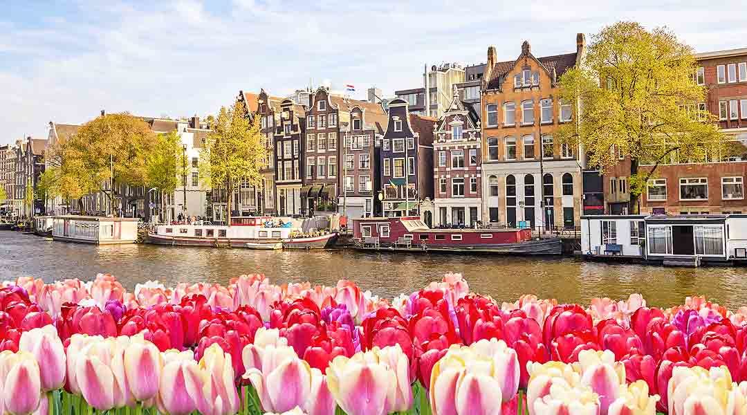 Top 10 Amazing Things to Do in Amsterdam (Netherlands)