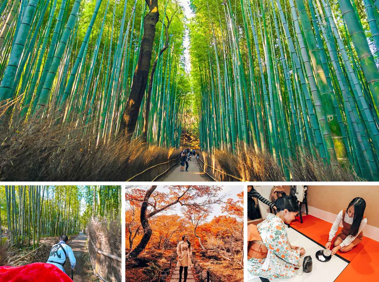 Arashiyama : Day Trips from Osaka