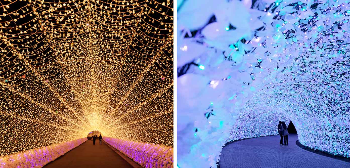 Nabana no Sato Winter Illumination & Flower Park (Guide)