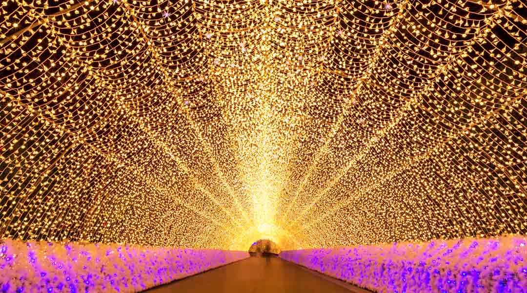 Nabana no Sato Winter Illumination & Flower Park (Travel Guide)