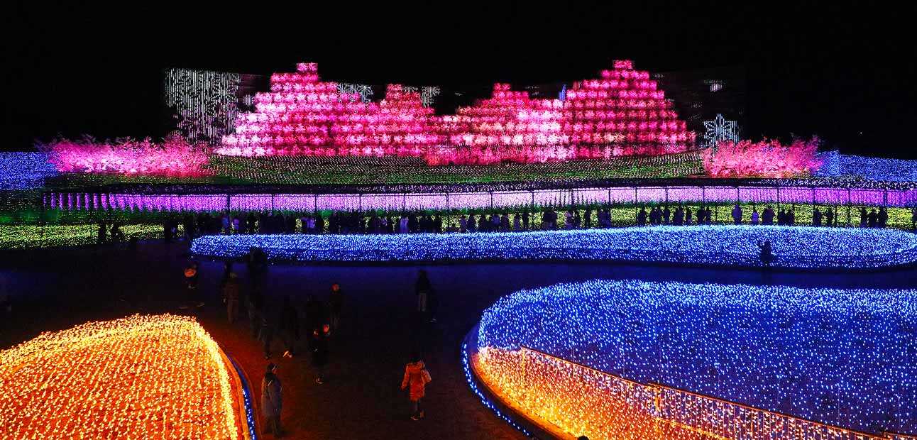Sakura Panorama of Illuminations