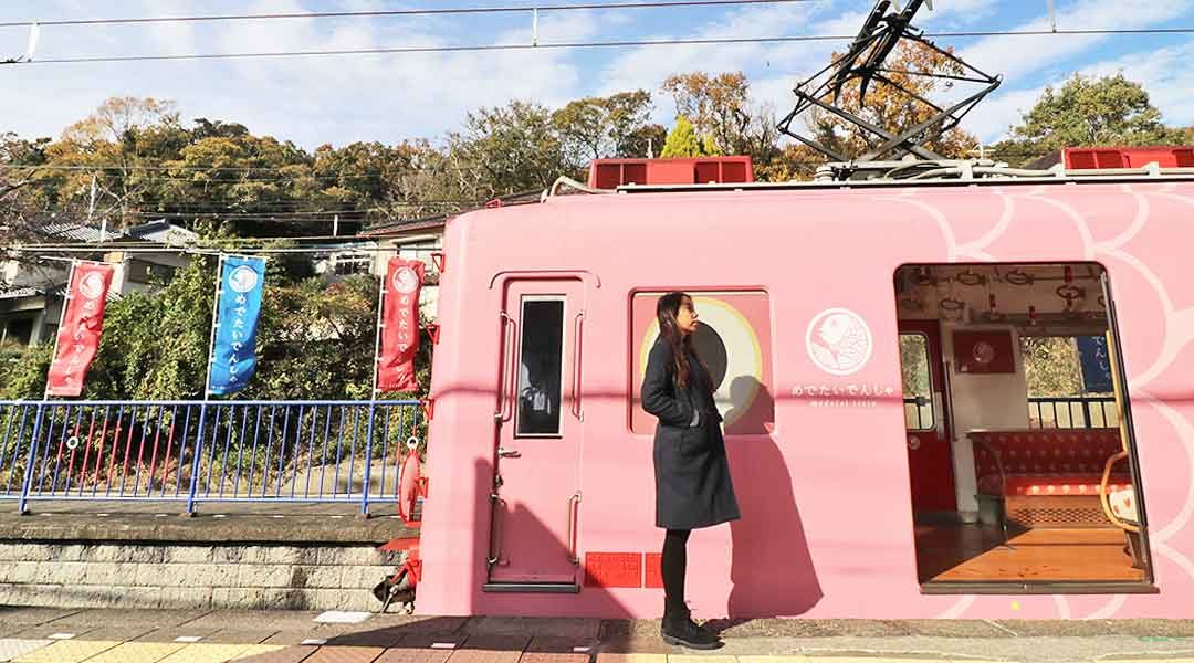 Sightseeing Medetai Train (Kada Sakana Line): Japan Travel Guide