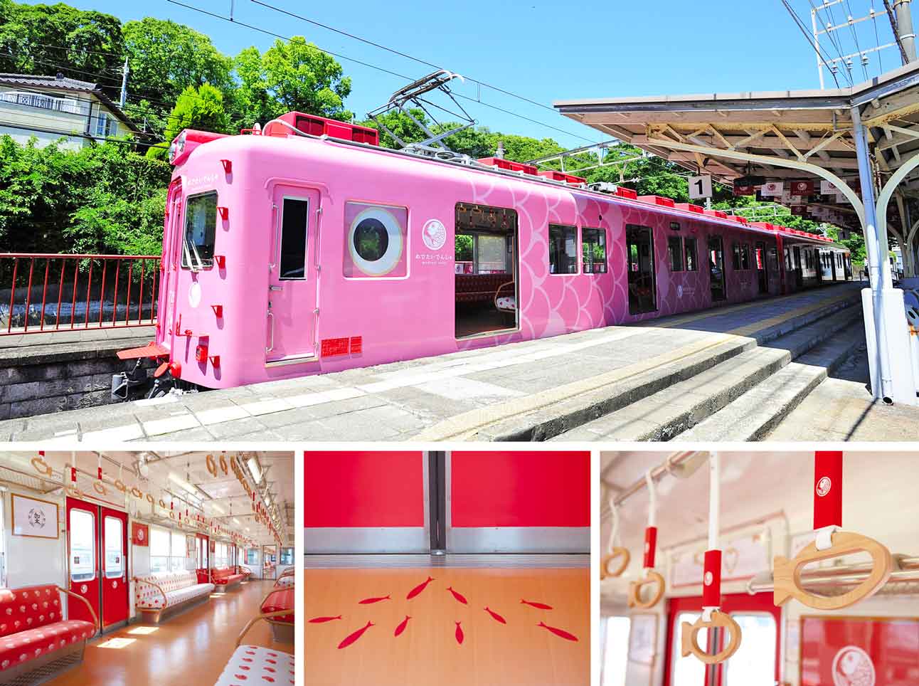 Sachi Medetai Train