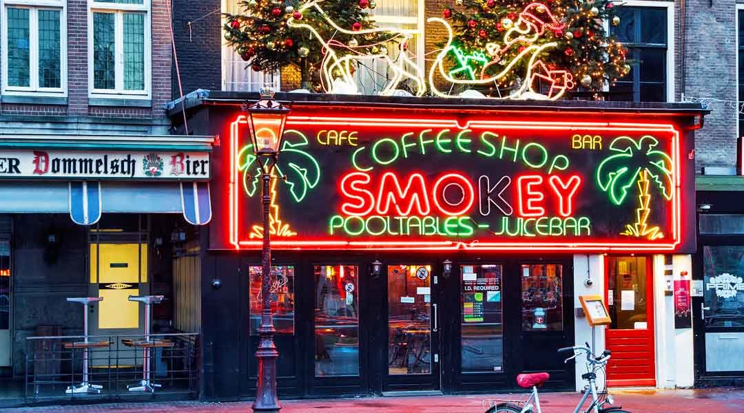 Amsterdam Coffeeshop: First Timer’s Guide with How-To’s & Facts